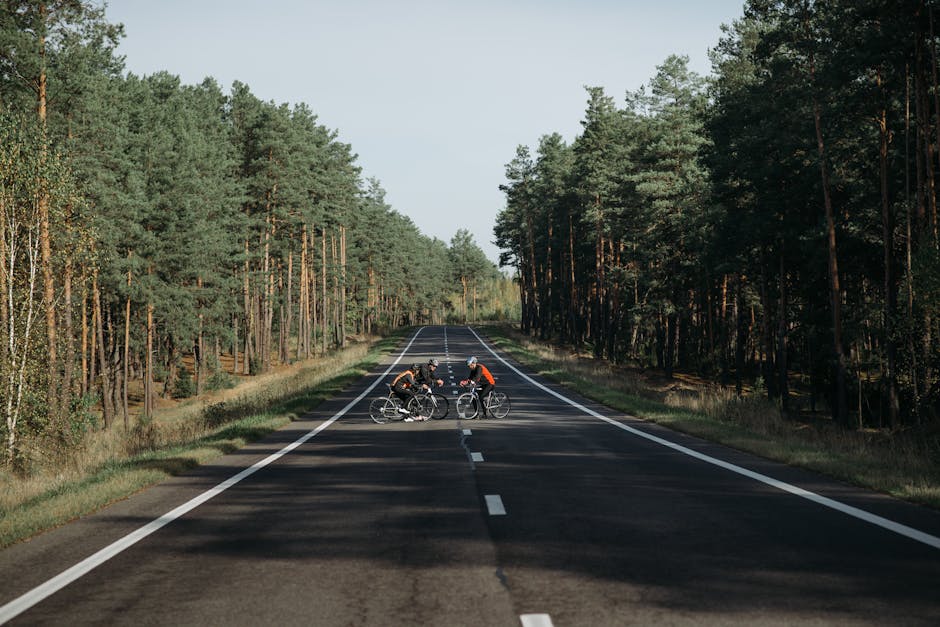 Цени на асфалт на квадратен метър: Инвестирайте в съответствие с нуждите на годината