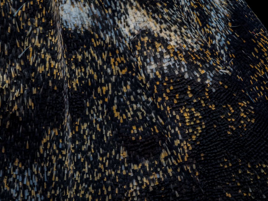 Добавете стил на вашите паркинги с цветен асфалт