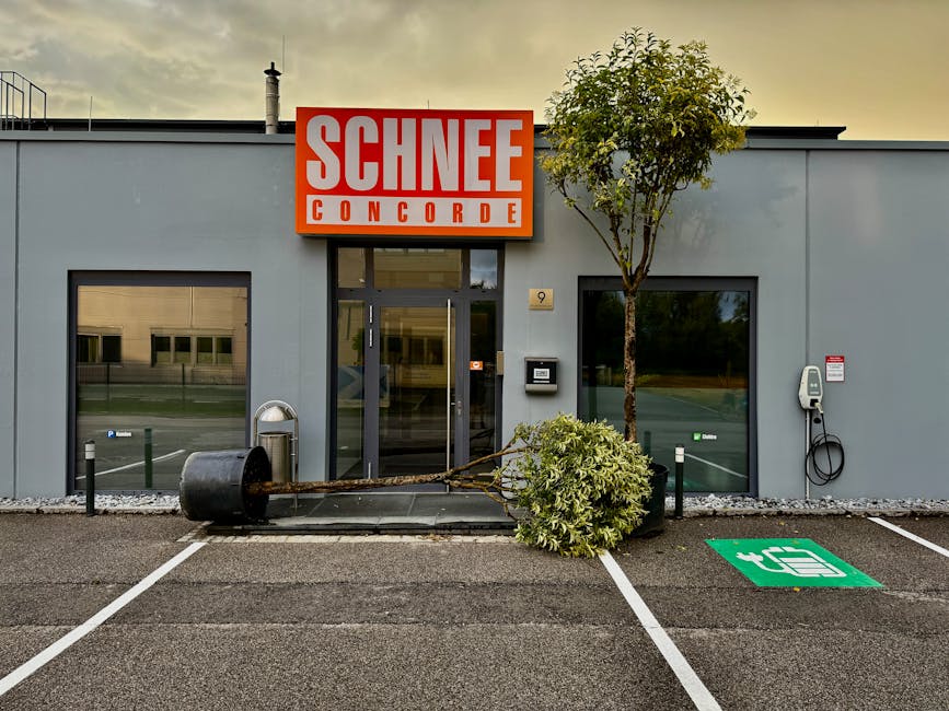 Иновативни подходи в асфалтовите приложения: Специализирани области и ценообразуване