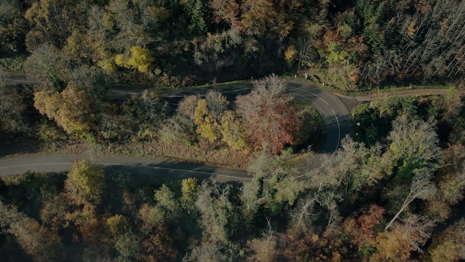 Да се потопим в дълбочините на цените на асфалта: Кой ще строи пътищата?