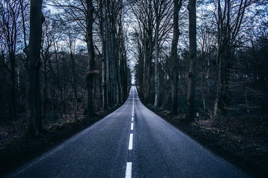 2026 Нови методи и възможности в асфалтовите приложения