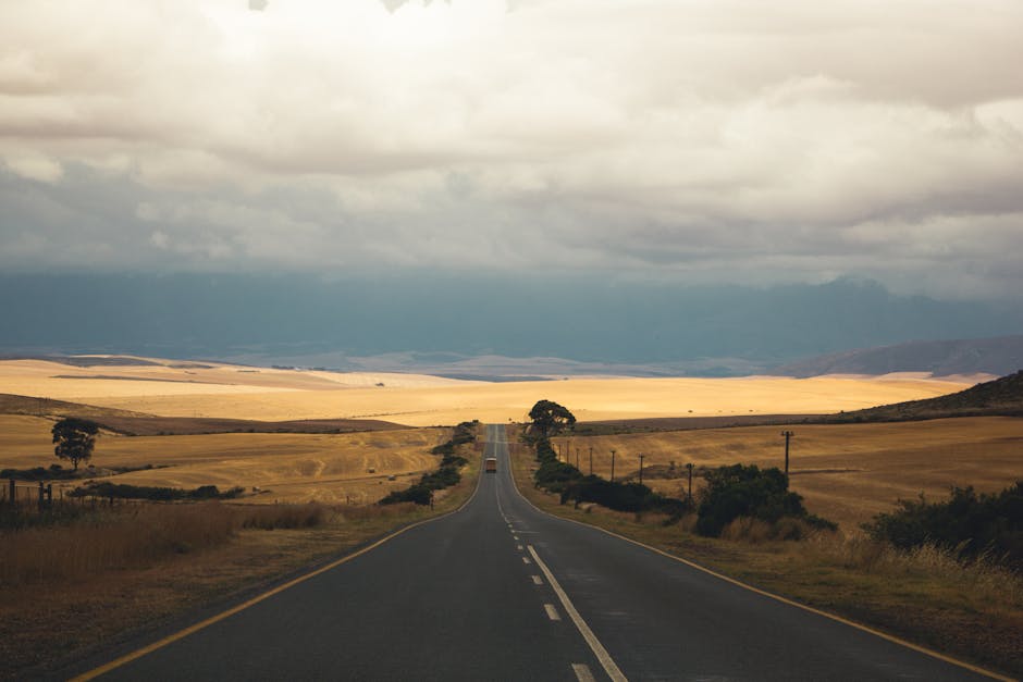 Специализирани асфалтни компании: Експертите, които изграждат бъдещето на пътищата